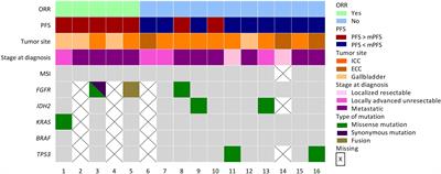 FOLFIRI-bevacizumab as a second-line treatment for advanced biliary tract cancer after gemcitabine-based chemotherapy